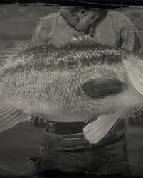 Find & download free graphic resources for largemouth bass. Legendary Largemouth Bass Red Dead Wiki Fandom