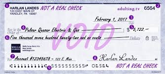 the art of writing a check ing