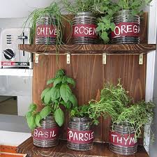 grow an indoor garden with fresh herbs