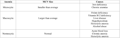 What Type Of Anemia Is Represented With A Small Mcv