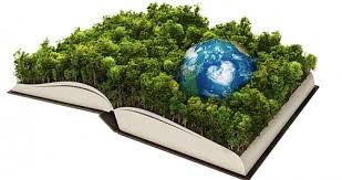 Biblia y ecología