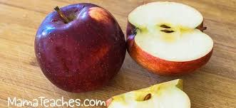 about apples fun facts for kids