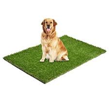 Dog Potty Training Grass Pad With