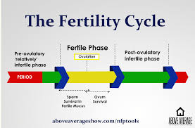 Dont Use Natural Family Planning Nfp Without Considering
