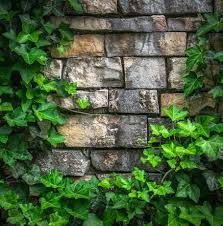 hd wallpaper brown brick wall