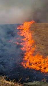 Μεγάλη φωτιά καίει αυτή την ώρα έξω από τη θεσσαλονίκη, έχοντας προκαλέσει μεγάλη κινητοποίηση της πυροσβεστικής. Twra Megalh Fwtia Se E3eli3h Sth 8essalonikh Shkw8hkan Kananter Fwto Typosthes