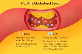 what is good cholesterol and how do i