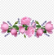 roses pink flowers lavender
