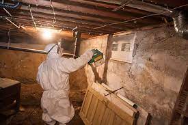 Have Mold In Your Crawl Space