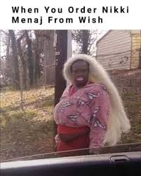 Find the newest i wish meme. When You Order Nikki Menaj From Wish Meme