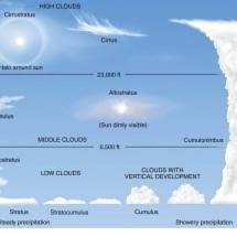Cloud Chart Gentlemint