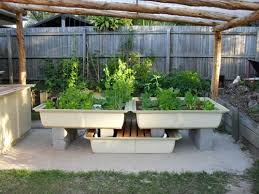 no soil gardening hydroponics