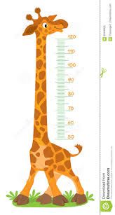 Giraffe Meter Wall Or Height Chart Stock Vector