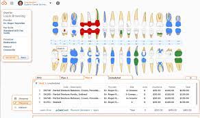 dental charting curve dental
