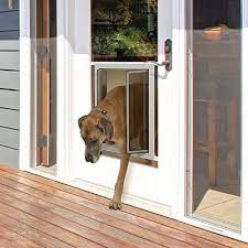 French Glass Door Dog Doors Plexidor