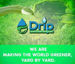 Look beyond price alone, to ensure complete. Drip Lawn Care Services Reviews Orlando Fl Angi Angie S List