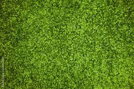 plastic green gr carpet texture