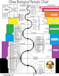 Dr Richard Olree On Minerals For The Genetic Code Part 1 Nti