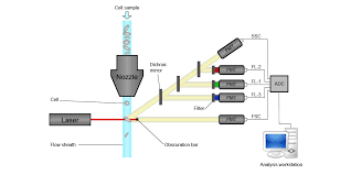 lasers for flow cytometry hÜbner