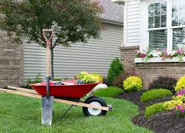 Landscaping Ideas Around Trees That