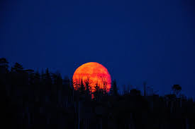Eclipse lunar de 15 de maio: como observar a Lua de Sangue | National  Geographic