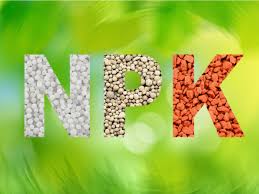 what is npk explaining fertilizer