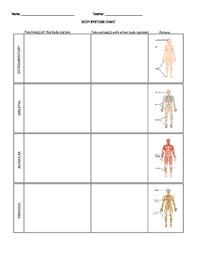 Body Systems Chart Worksheet