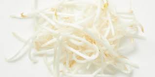 bean sprouts all you need to know