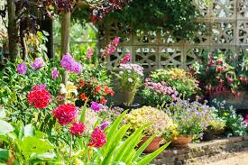 The May Garden Garden Care