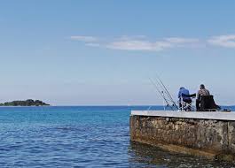 The summer time weather has taken shape and. Where To Fish Near Me