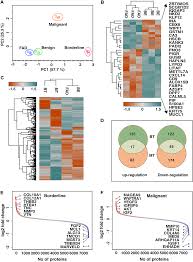 You should use rfc 822 standard and here is a good article parsing email adresses in php that explains it. Quantitative Proteome Profiling Stratifies Fibroepithelial Lesions Of The Breast Oncotarget