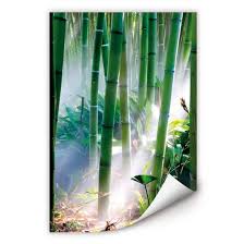 Wall Print Bamboo Forest Wall Art Com