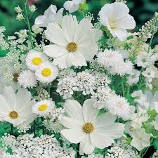 Image result for flowers