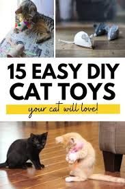 15 easy diy cat toys you can make for