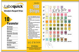 100 Strips Urs 10t Urinalysis Reagent Strips 10 Parameters