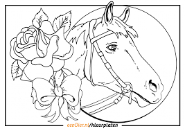 Download nu gratis een kleurplaat van een paard, print ze uit en kleuren maar! Kleurplaat Paard Google Zoeken Kleurplaten Paarden Kleuren