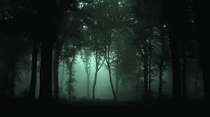 dark forest high resolution backgrounds