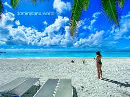 island saona private tour from 285