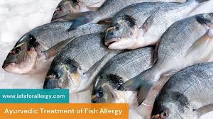 how to treat fish allergy in ayurveda