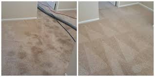 carpet cleaning in chino ca golden