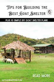 10 Diy Goat Shelter Plans Tips For