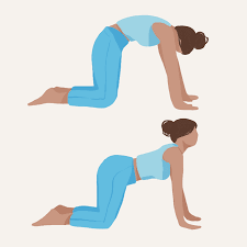 7 great stretches for your mid back
