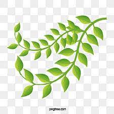 fresh green leaves png vector psd