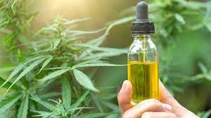 Cannabis oil is usually stored in an easy to dispense and dose syringe format. Cannabis Oil Complicates Drug Testing
