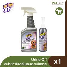 urine off odor and stain remover dog