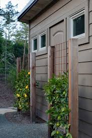 Clean Up A Trellis Or Living Wall In