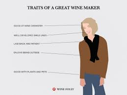 5 Steps In Deciding How Long To Age A Wine Wine Folly