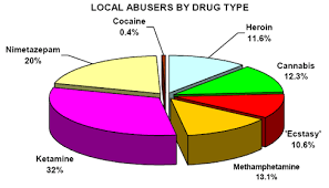 Central Narcotics Bureau Of Singapore Drug Report