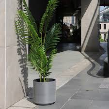 plastic flower pot and plastic planter