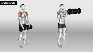 chest workout routine for building